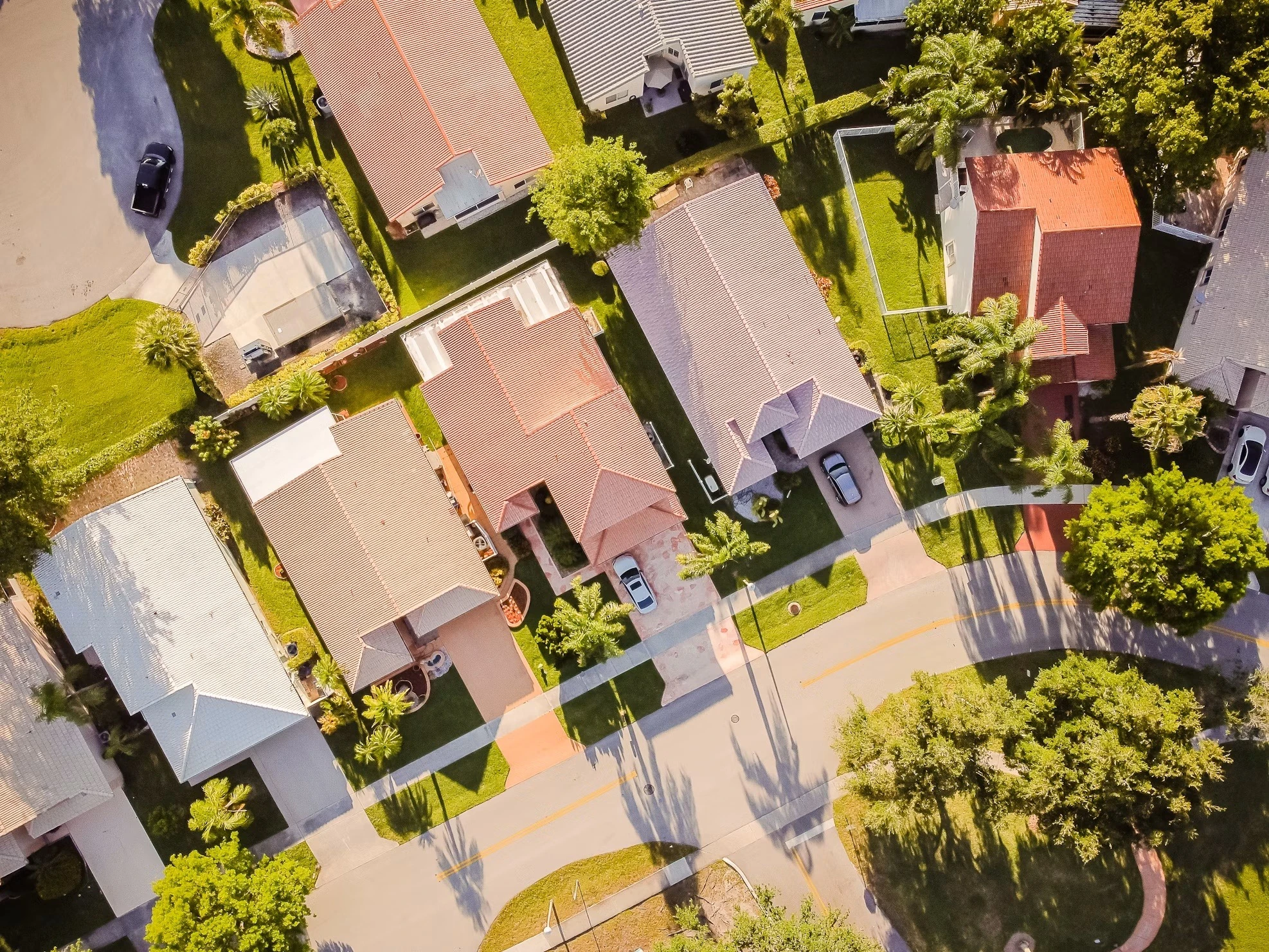 Aerial view of residential roofs and palm-lined streets